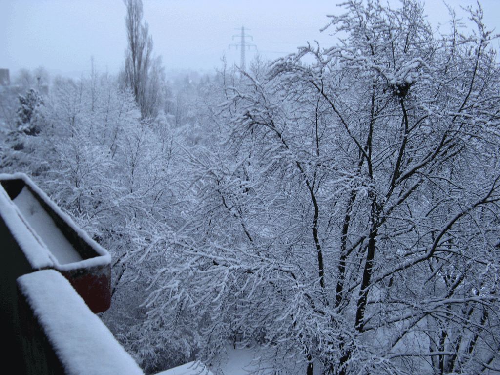Steilshoop im Winter